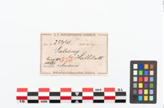 Etikett zu Bronzemelonenarmreif (NHMW-PRAE-025441)